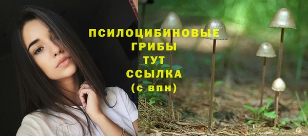 спиды Коряжма