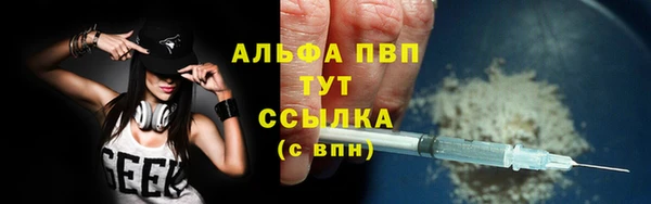 спиды Корсаков
