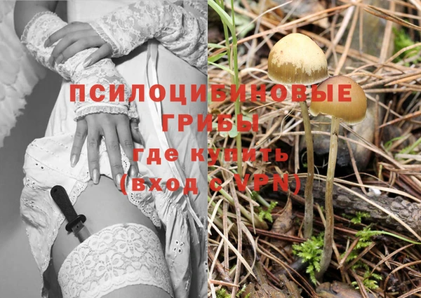 соль курить ск Данков