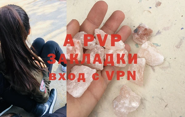 спиды Корсаков