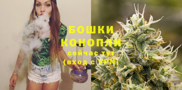 спиды Корсаков